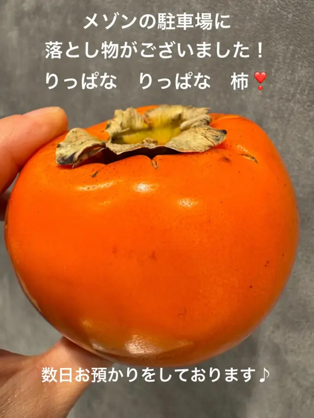 ひまわりの丘 | コート・ダジュール | 茨城県つくば市のフランス菓子店